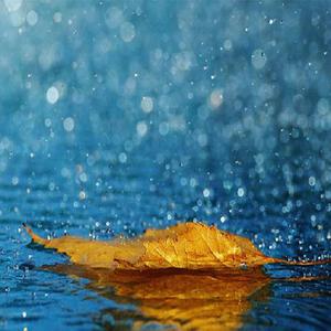 三点比基尼露阴沟美女视频
